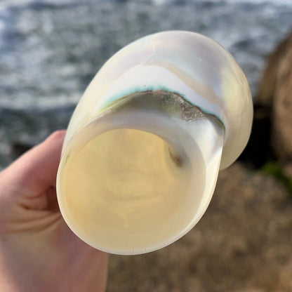 Mermaid Shell Glass